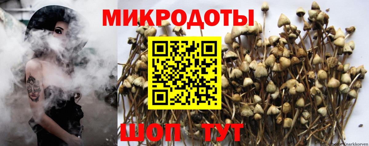 ГАШ  Вход с VPN  Конопля  МДМА  LSD-25  A-PVP СОЛЬ   Полевской  Кокаин  Сколько стоит  Меф кристаллы 