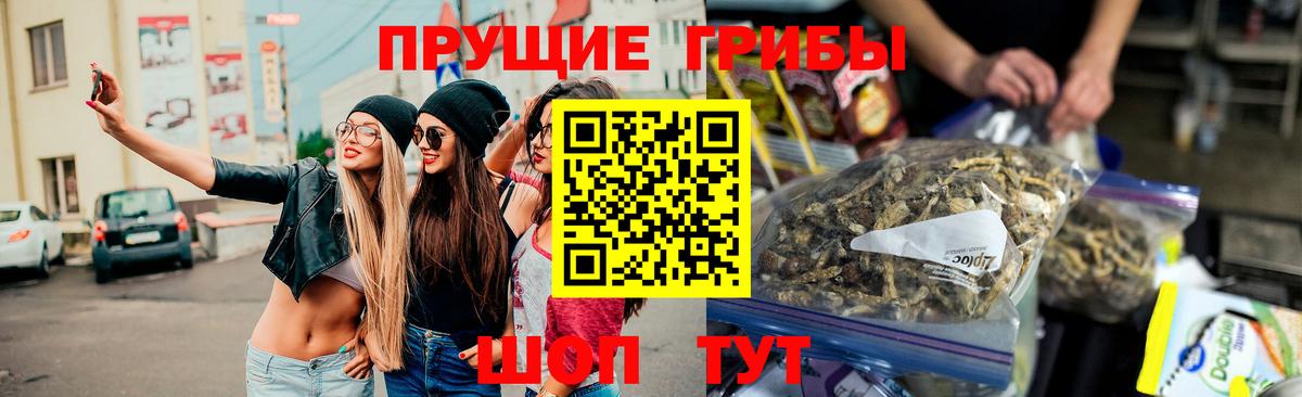 Полевской  Галлюциногенные грибы ЛСД  Вход с VPN 